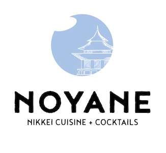 Noyane Chicago Logo
