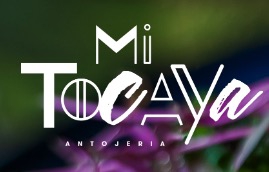 Mi Tocaya Antojería Chicago Logo