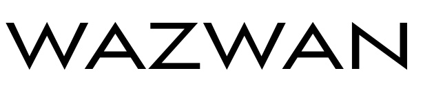 Wazwan Chicago Logo